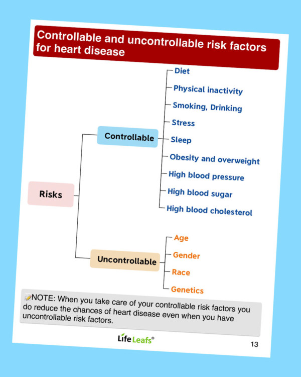 Heart Care Handbook - Image 2