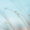 The Power of Calmness: Strength in Stillness